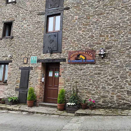 Apartamentos Rurales El Capricho De Carrio Pola de Laviana Zewnętrze zdjęcie