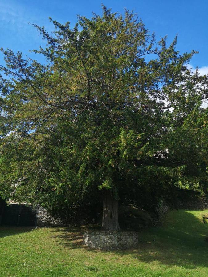 Rurales El Capricho De Carrio Pola de Laviana